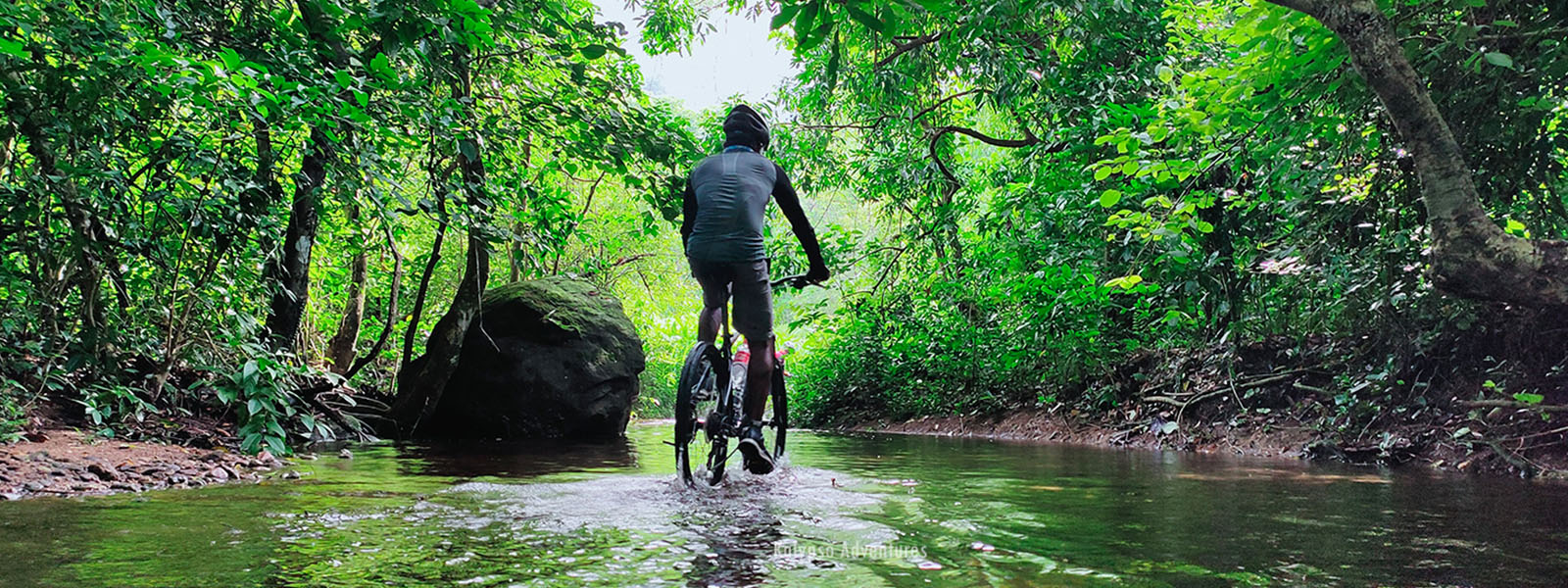 Rainforest Mountain Biking Adventure